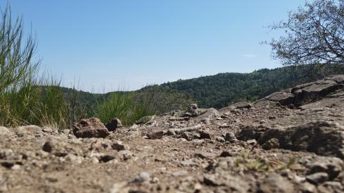 DJI_3731.JPG